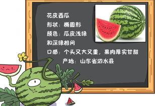吃瓜事故小说免费阅读  第1张